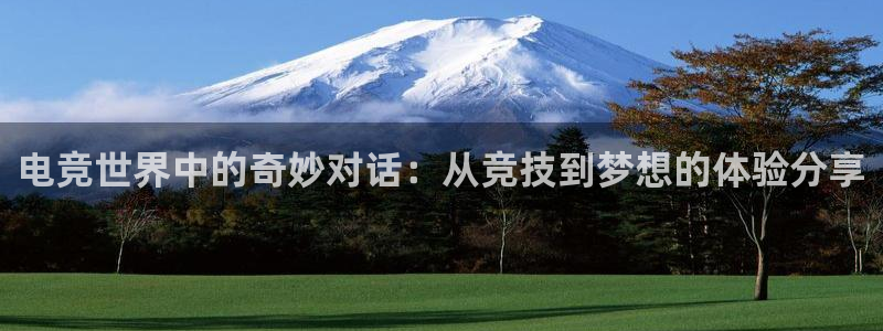 火狐电竞ios：电竞世界中的奇妙对话：从竞技到梦想的体验分享