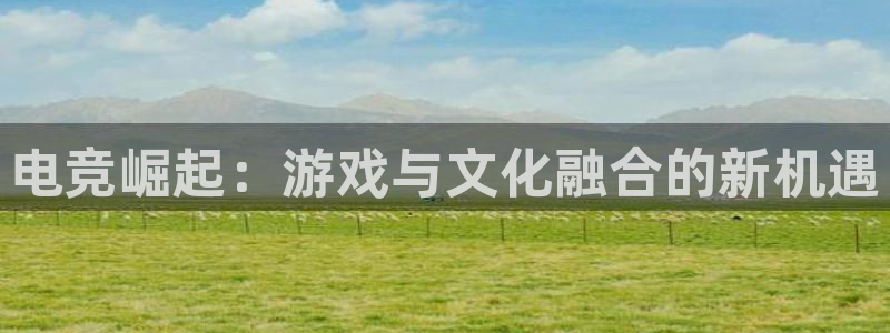 火狐电竞huohu：电竞崛起：游戏与文化融合的新机遇