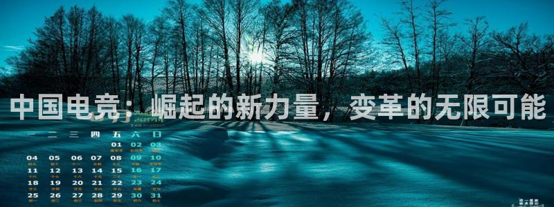 火狐电竞网页版：中国电竞：崛起的新力量，变革的无限可能